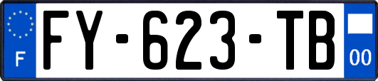 FY-623-TB