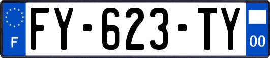 FY-623-TY