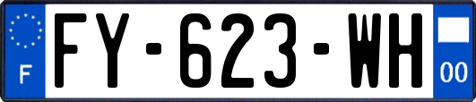 FY-623-WH