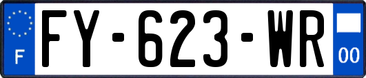 FY-623-WR