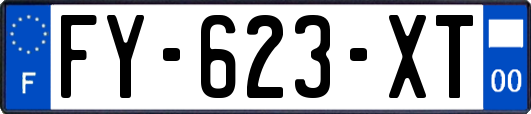 FY-623-XT