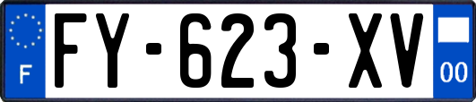 FY-623-XV