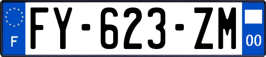 FY-623-ZM