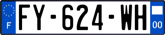 FY-624-WH