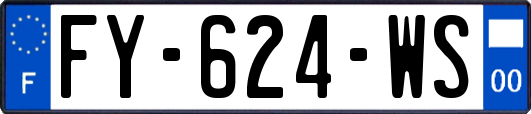 FY-624-WS
