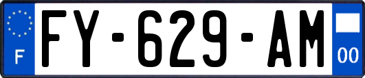 FY-629-AM