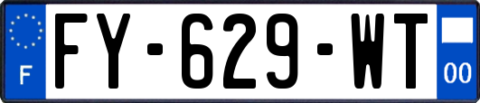 FY-629-WT