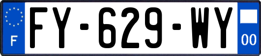 FY-629-WY