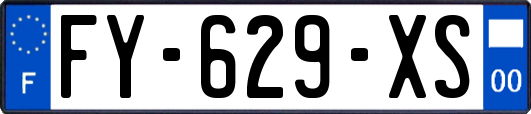 FY-629-XS