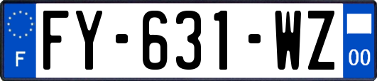 FY-631-WZ