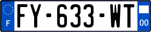 FY-633-WT
