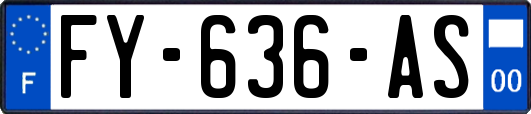 FY-636-AS