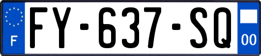 FY-637-SQ