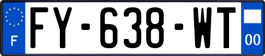 FY-638-WT