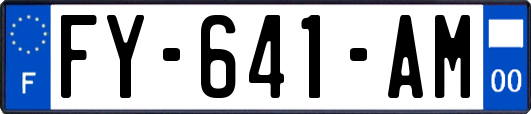 FY-641-AM