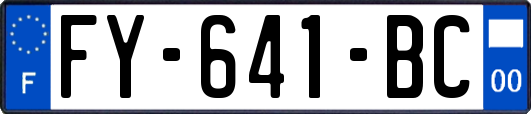 FY-641-BC