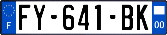 FY-641-BK