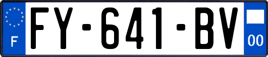 FY-641-BV