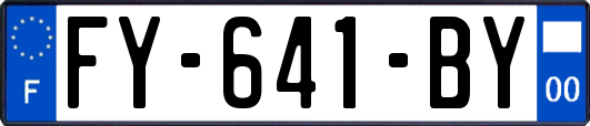 FY-641-BY