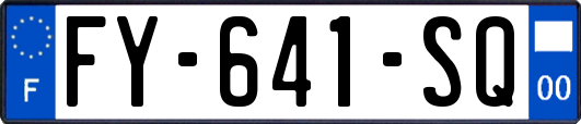 FY-641-SQ