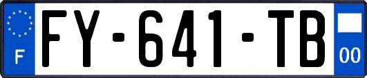FY-641-TB
