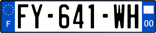 FY-641-WH