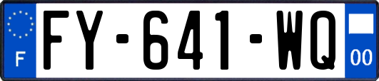 FY-641-WQ