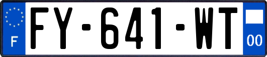 FY-641-WT