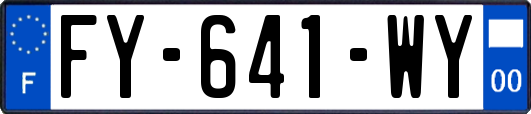 FY-641-WY