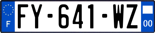 FY-641-WZ