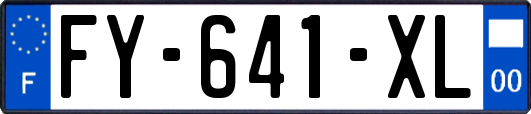 FY-641-XL