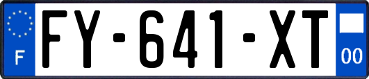 FY-641-XT