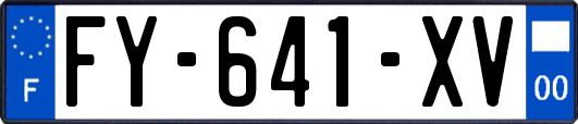 FY-641-XV