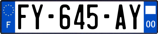FY-645-AY
