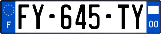 FY-645-TY