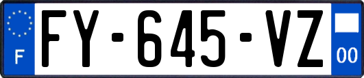 FY-645-VZ