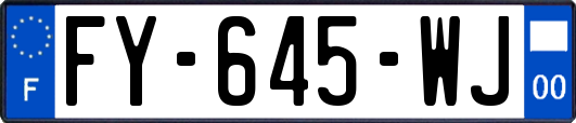 FY-645-WJ