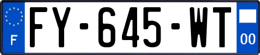 FY-645-WT