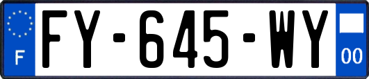 FY-645-WY