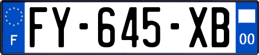 FY-645-XB