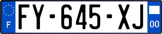 FY-645-XJ