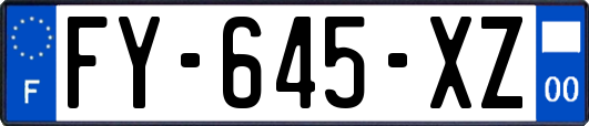 FY-645-XZ