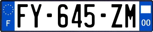 FY-645-ZM