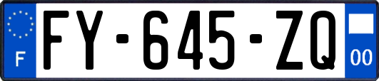 FY-645-ZQ