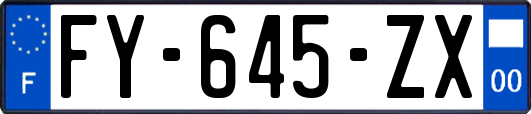 FY-645-ZX