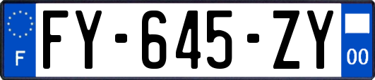 FY-645-ZY