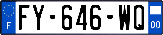 FY-646-WQ