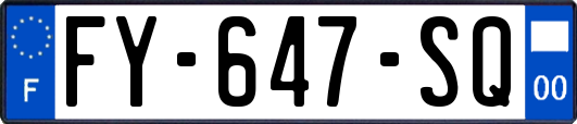 FY-647-SQ