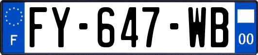 FY-647-WB