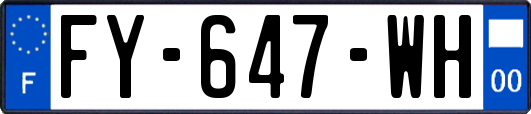 FY-647-WH